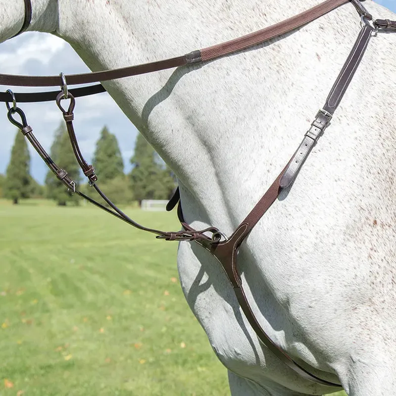 Shires Avignon Breastplate - Havana