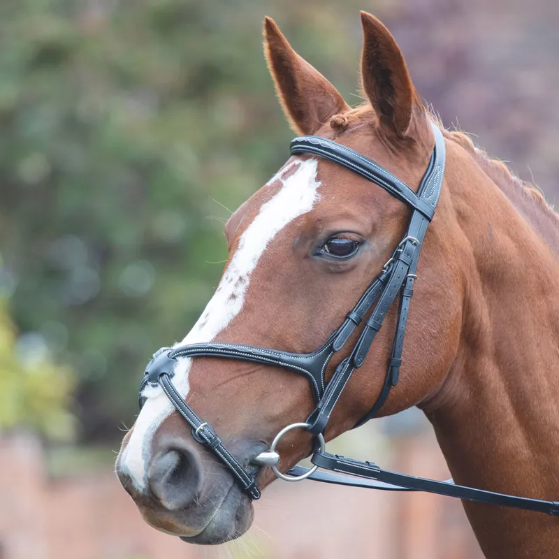 Shires Avignon Grackle Bridle - Black