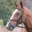 Shires Avignon Grackle Bridle - Havana