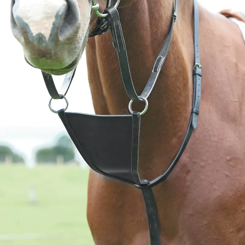 Velociti GARA Bib Martingale - Black