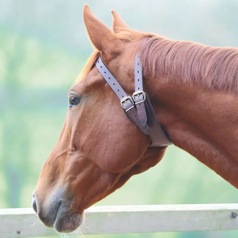Shires Anti-Crib Collar - Australian Nut