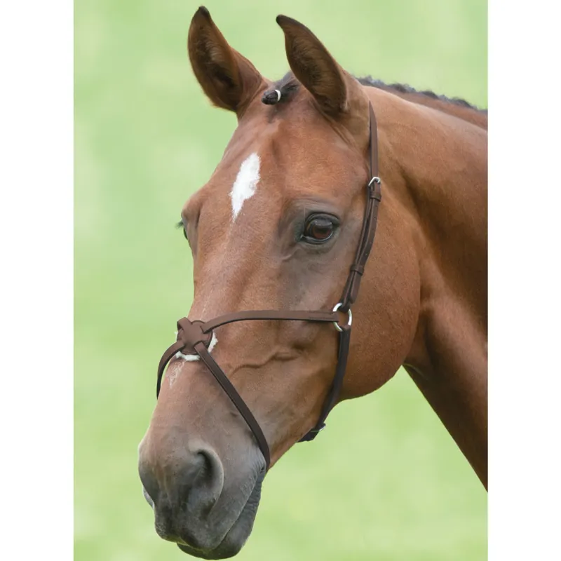 Velociti GARA Mexican Grackle Noseband - Brown