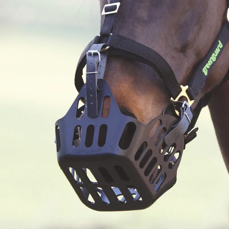 Shires Greenguard Spare Strap