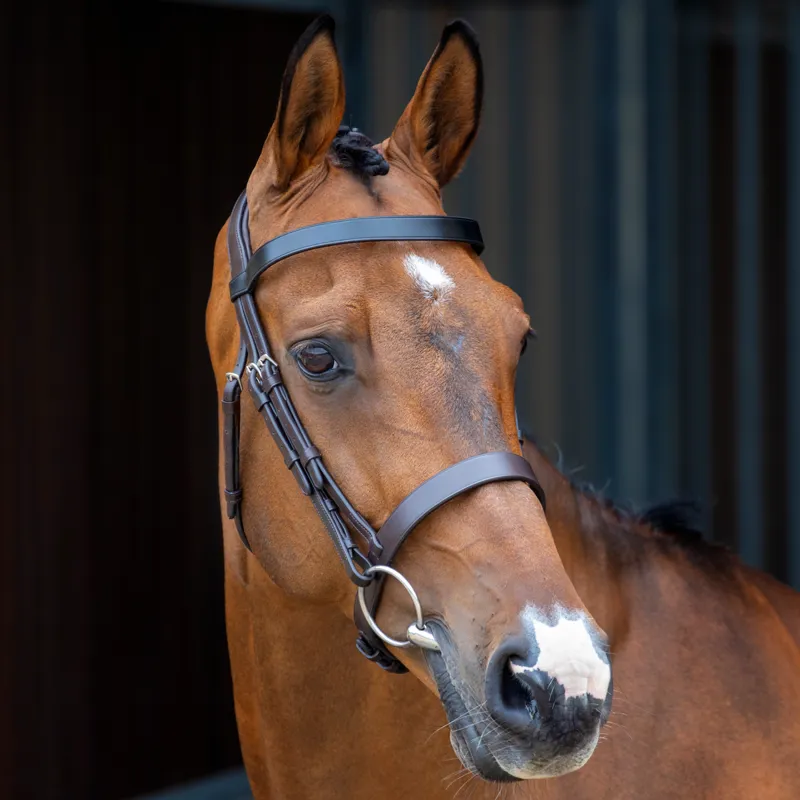 Velociti Lusso Hunter Cavesson Bridle - Havana