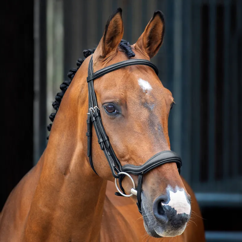 Velociti Lusso Ergonomic Flash Bridle - Black