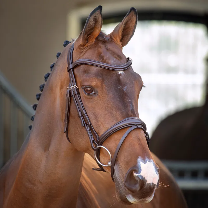 Velociti Lusso Padded Raised Flash Bridle - Havana