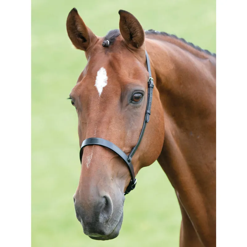 Velociti GARA Cavesson Noseband - Brown