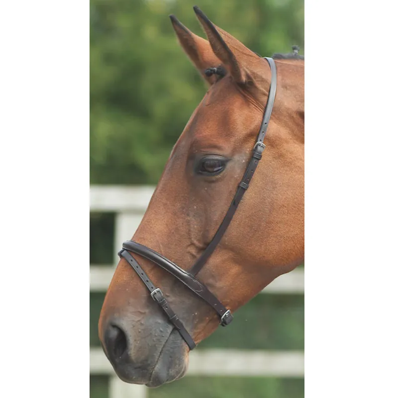 Velociti GARA Flash Noseband - Brown