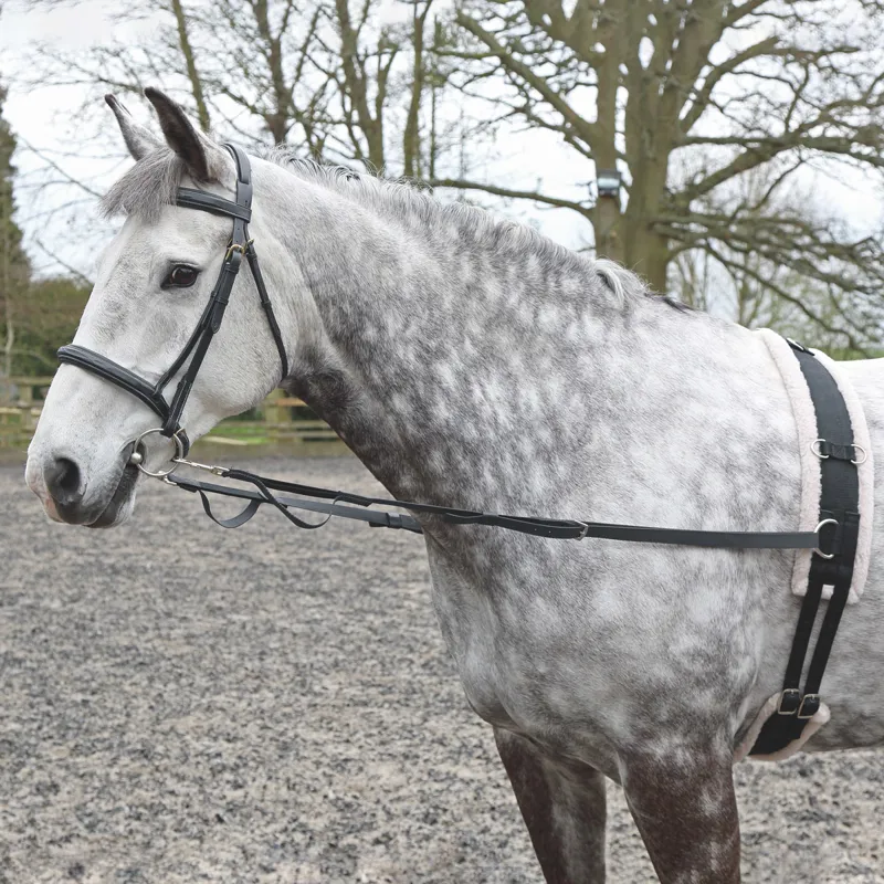 Shires Nylon Web Elasticated Side Reins - Black