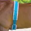 Shires Nylon Roller with Fleece Padding - Blue