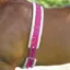 Shires Nylon Roller with Fleece Padding - Raspberry