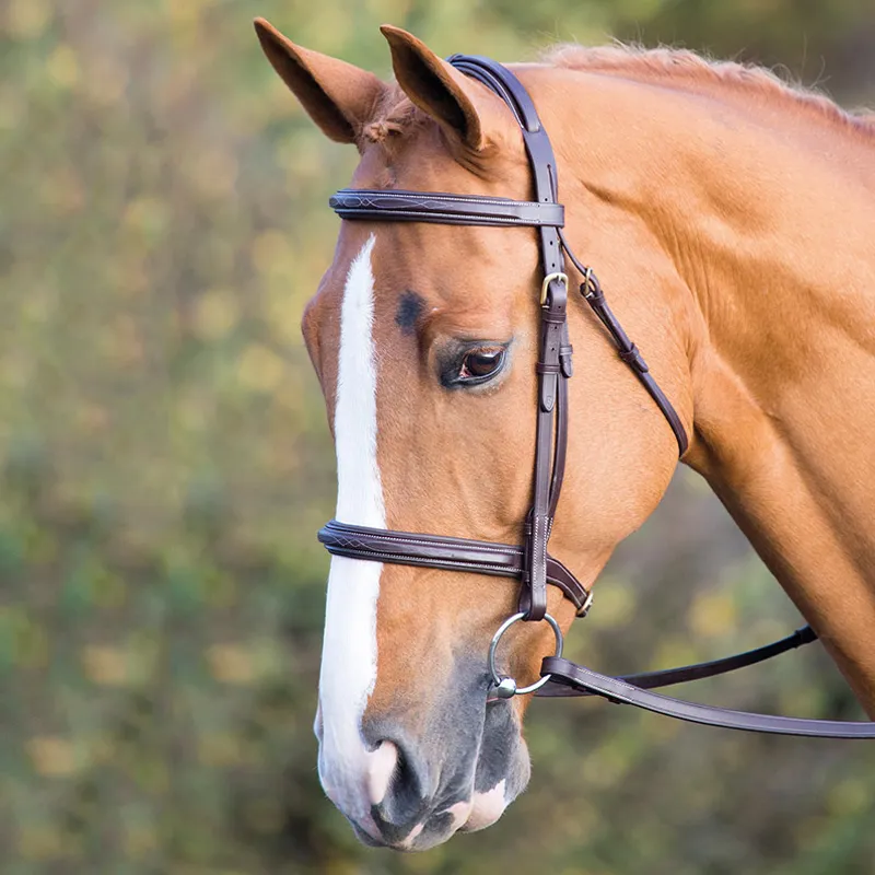 Shires Salisbury Fairford Bridle - Australian Nut