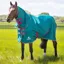 Shires Tempest Original Air Motion 0g Combo Turnout Rug - Green