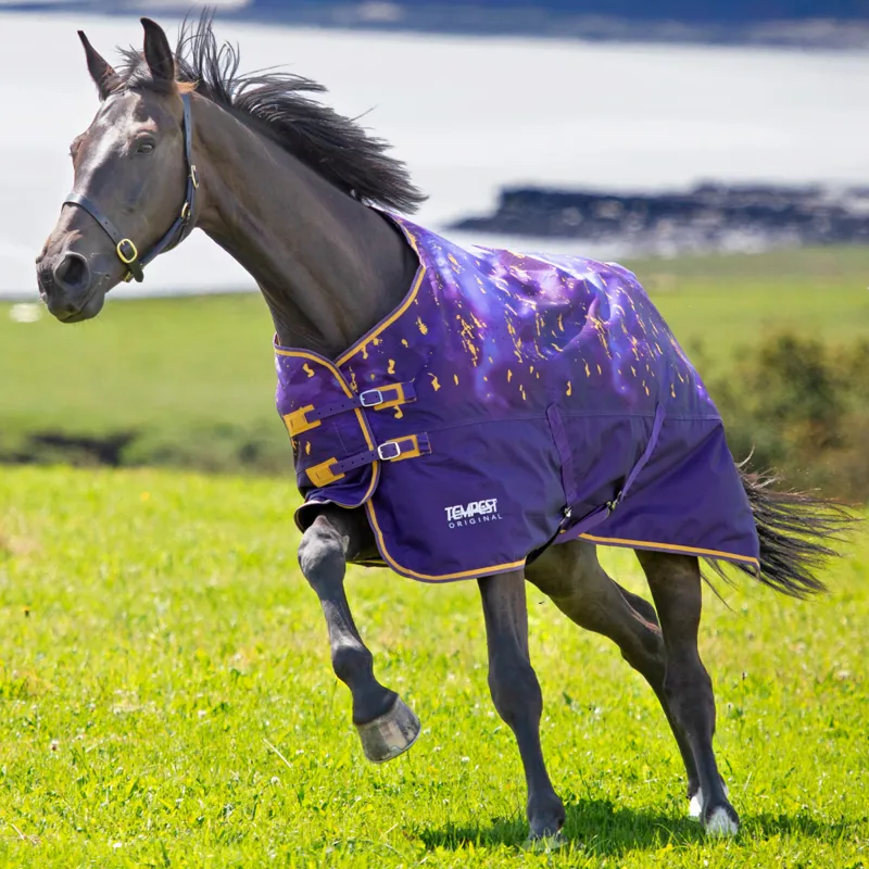 Shires Tempest Original 0g Standard Neck Turnout Rug - Amethyst