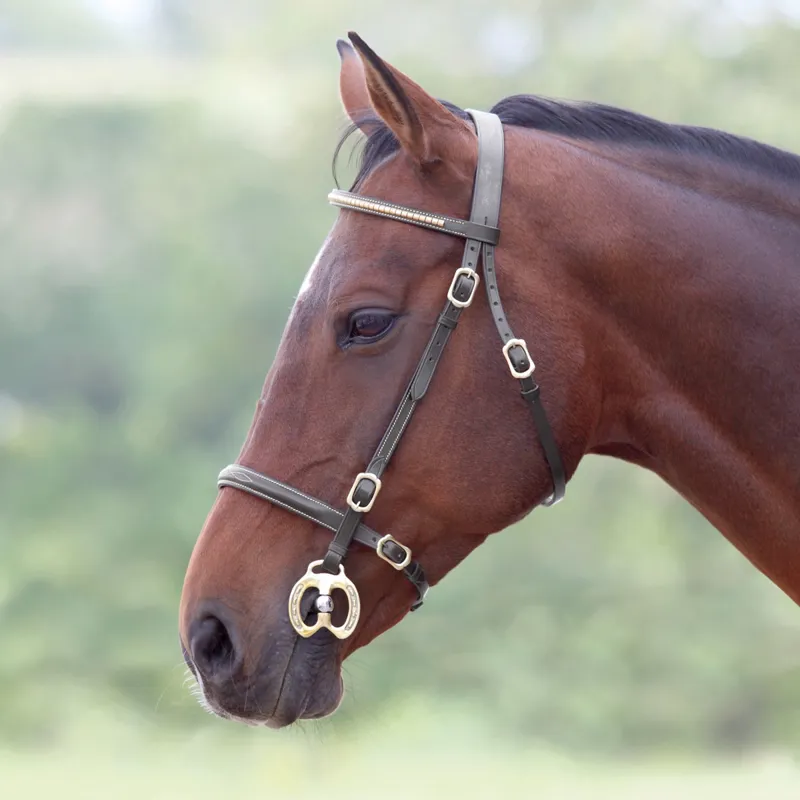 Velociti GARA In-Hand Clincher Bridle - Black