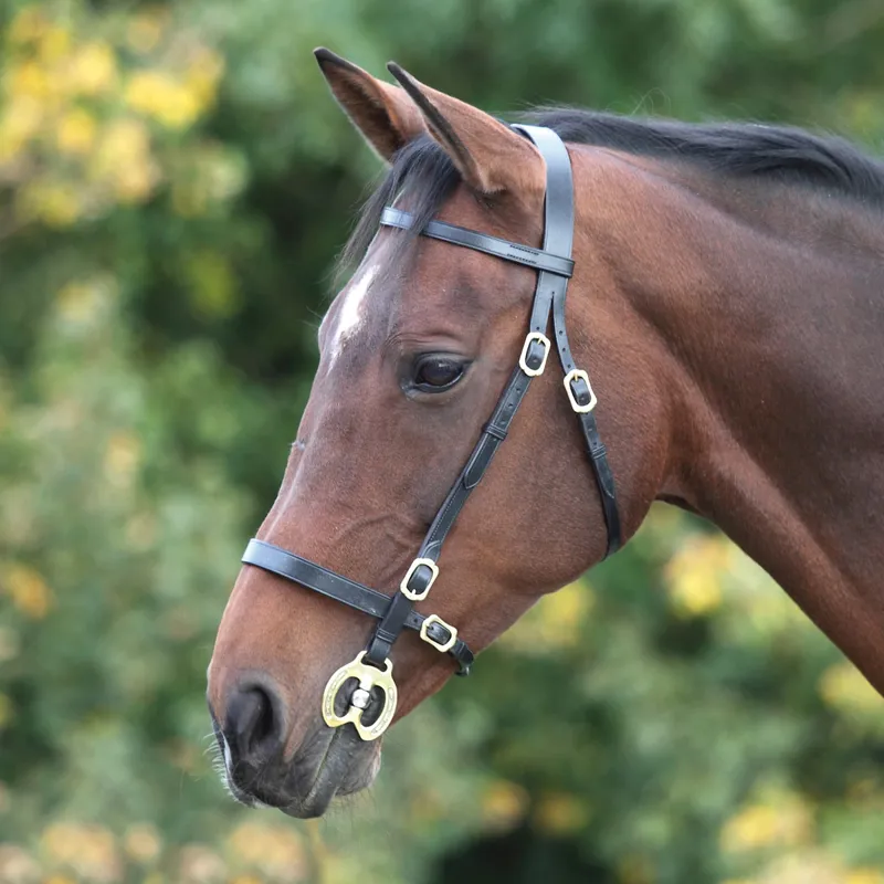 Velociti GARA Plain In-hand Bridle - Black