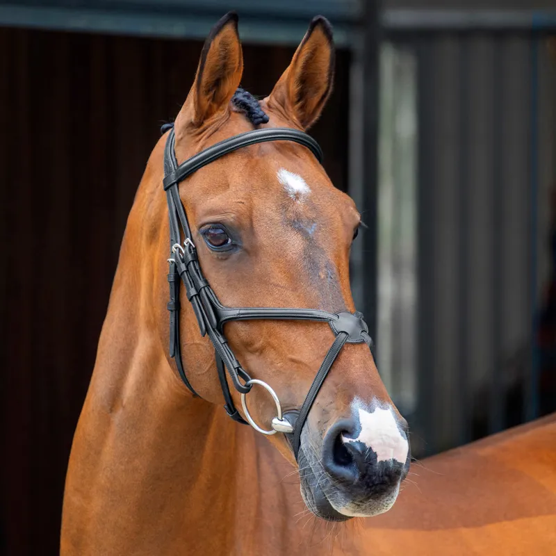 Velociti Lusso Grackle Bridle - Black