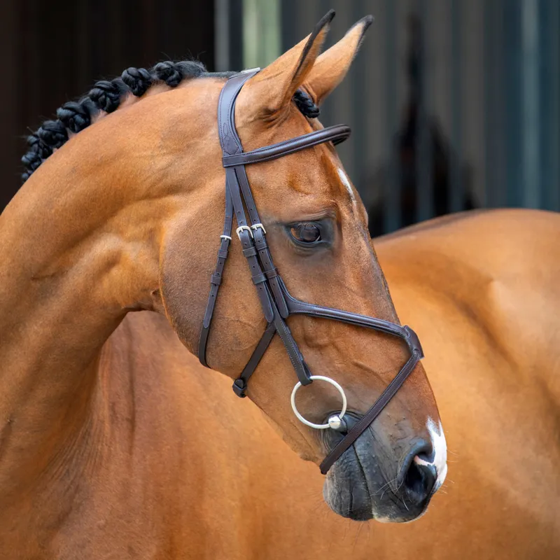 Velociti Lusso Grackle Bridle - Havana
