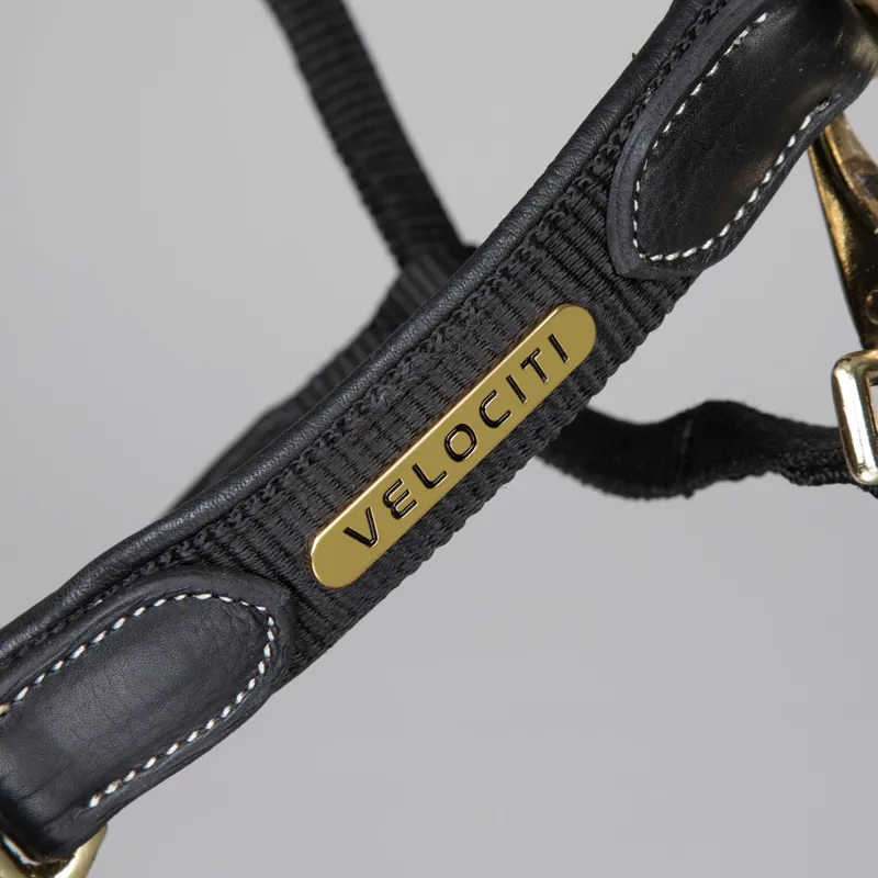 Velociti Lusso Padded Leather Headcollar - Black-1