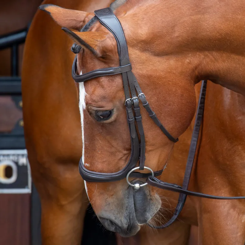 Velociti RAPIDA Ergonomic Cavesson Bridle with Reins - Havana-1