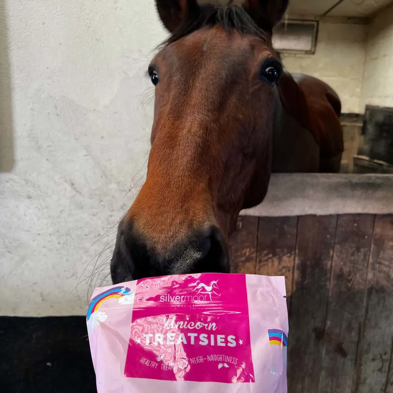 Silvermoor Treatsies Unicorn Horse Treats-1