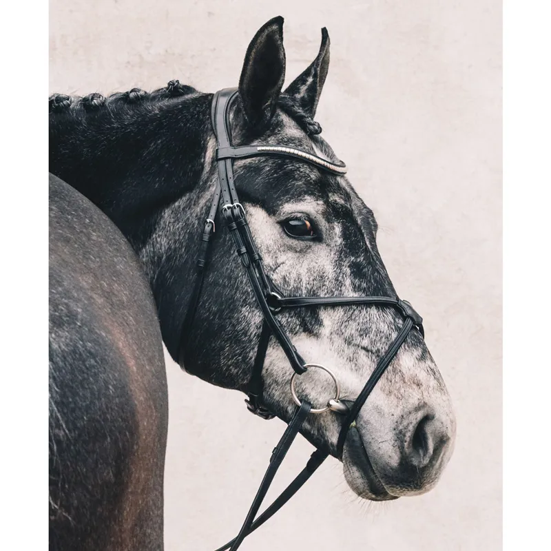 Schockemohle Rio Select Mexican Grackle Bridle - Black/Silver-3