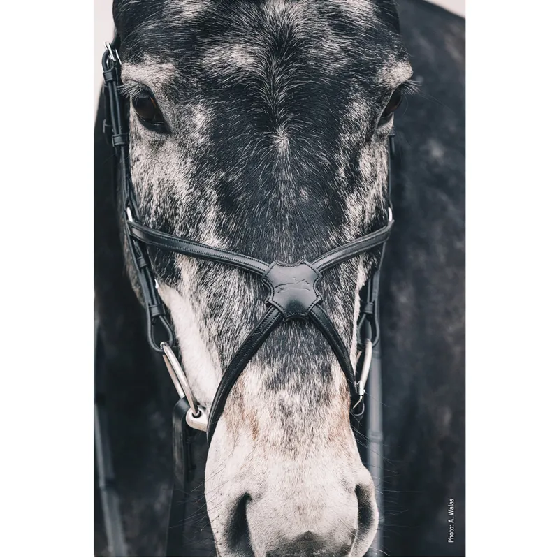 Schockemohle Rio Select Mexican Grackle Bridle - Black/Silver-4