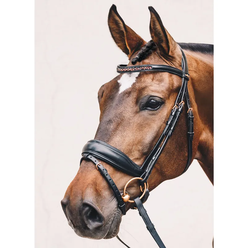 Schockemohle Stanford S Anatomic Flash Bridle - Black/Burgundy/Rose-3