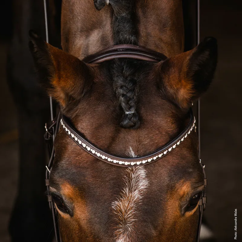 Schockemohle Brantford Anatomic Flash Bridle - Espresso/Silver-5