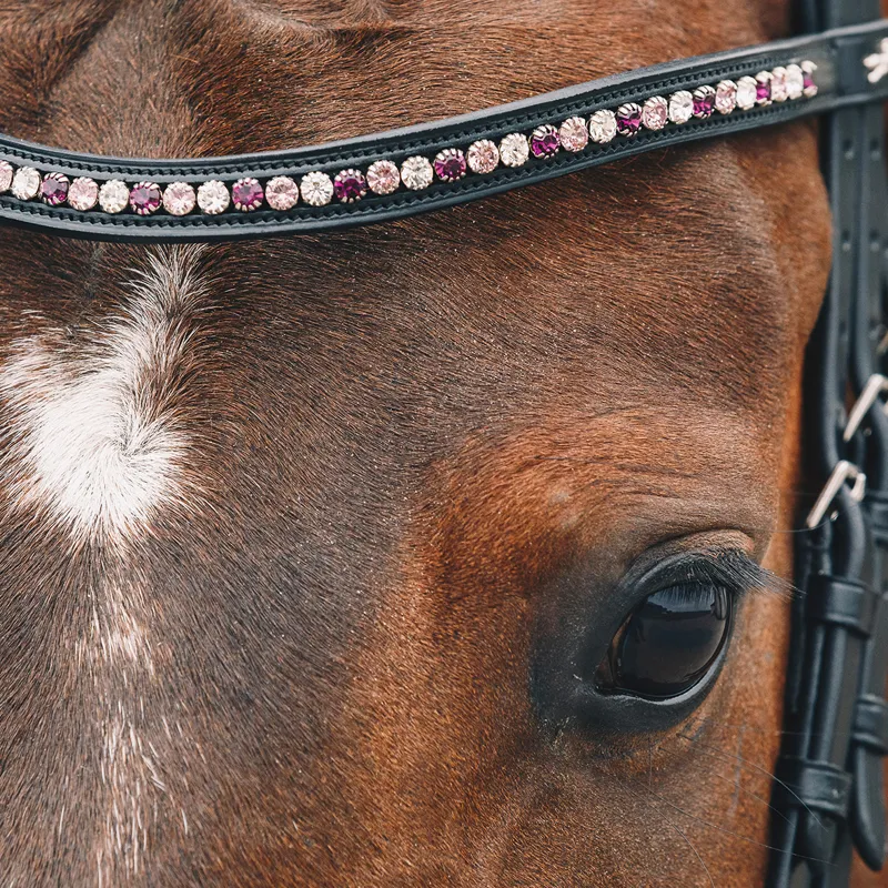 Schockemohle Diamond Select Browband - Black/Berry Shades-1