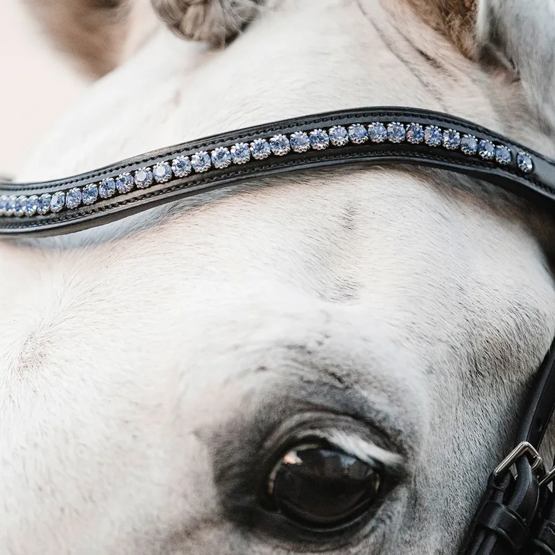 Schockemohle Diamond Select Browband - Black/Light Blue-1