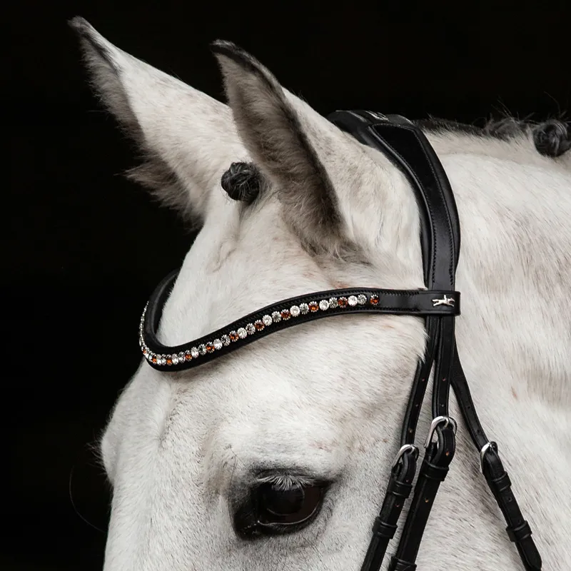 Schockemohle Diamond Select Browband - Black/Toffee-1