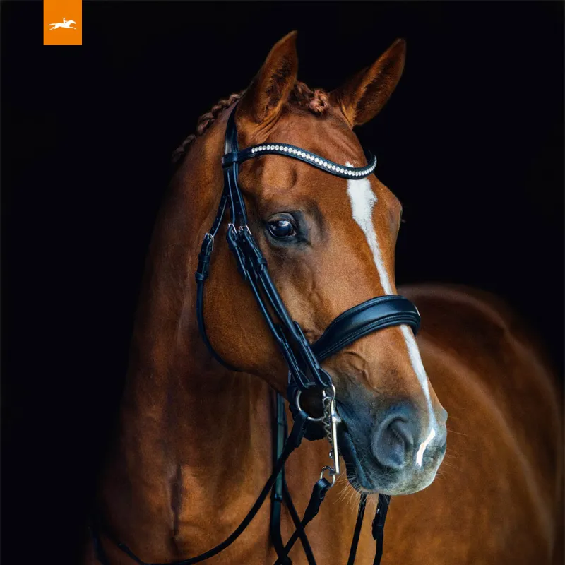 Schockemohle Venice Anatomic Double Bridle - Black-1