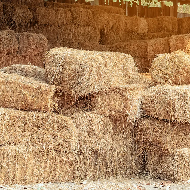 Small 2025 Harvest Hay Bale-1