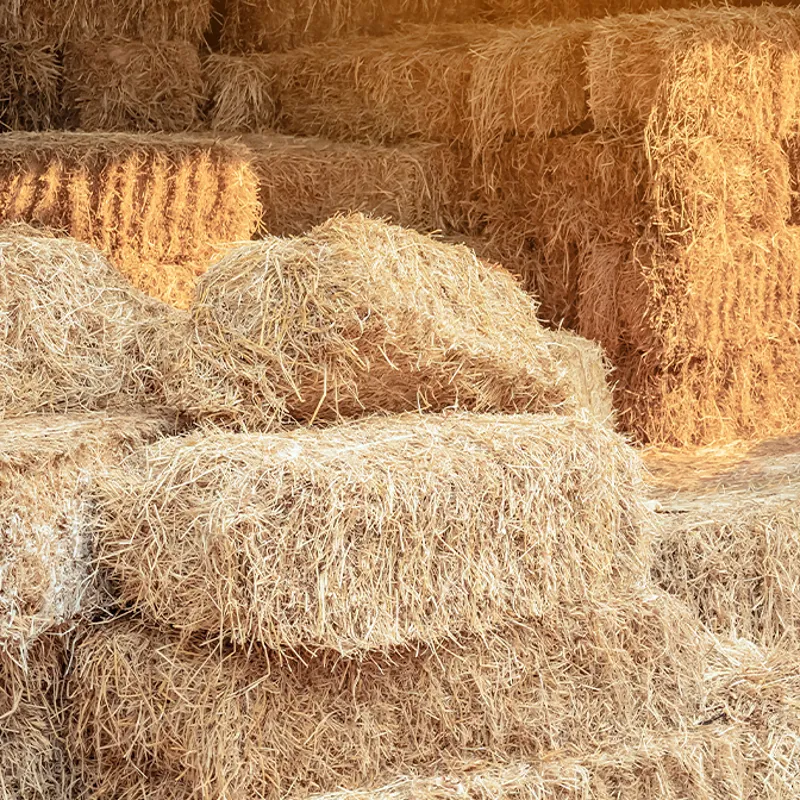 Whitehouse Farm Wrapped Small Hay Bale-1