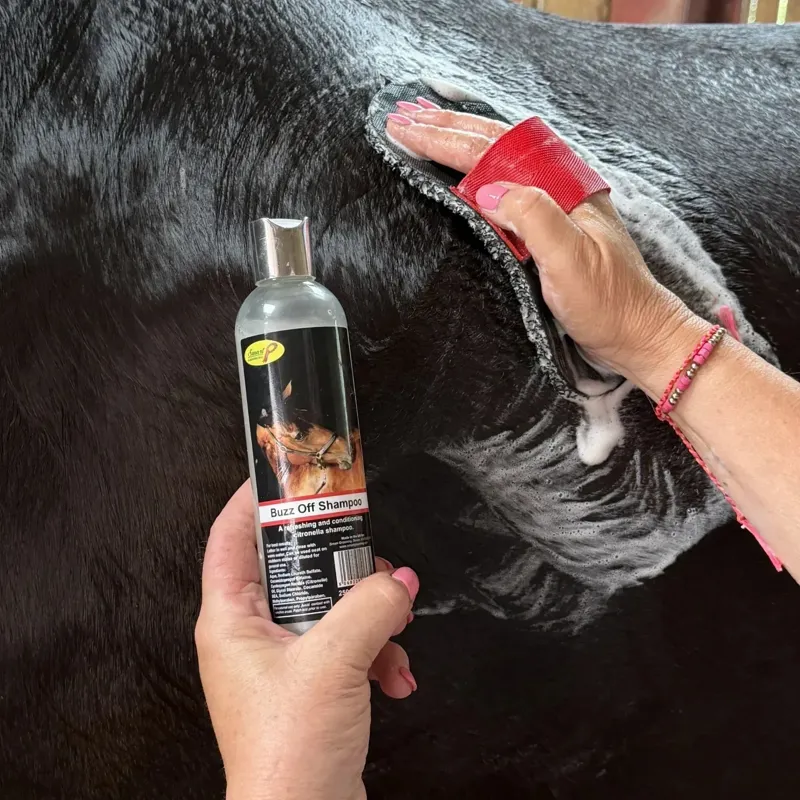 Smart Grooming Buzz Off Citronella Horse Shampoo-1
