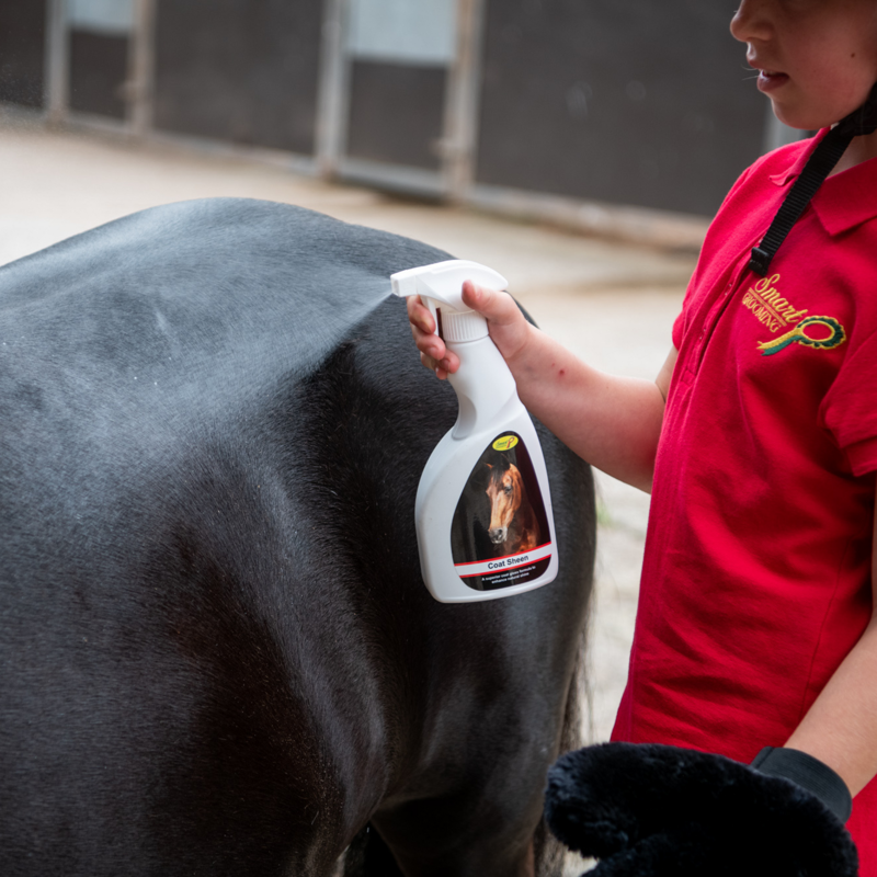 Smart Grooming Coat Sheen-2