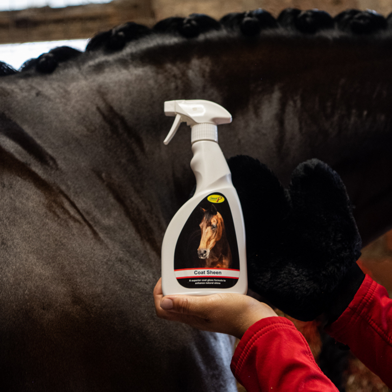 Smart Grooming Coat Sheen-3