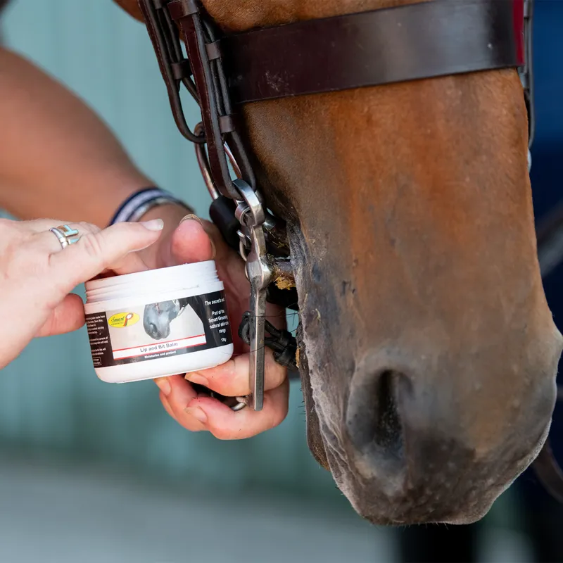 Smart Grooming Lip and Bit Balm-5