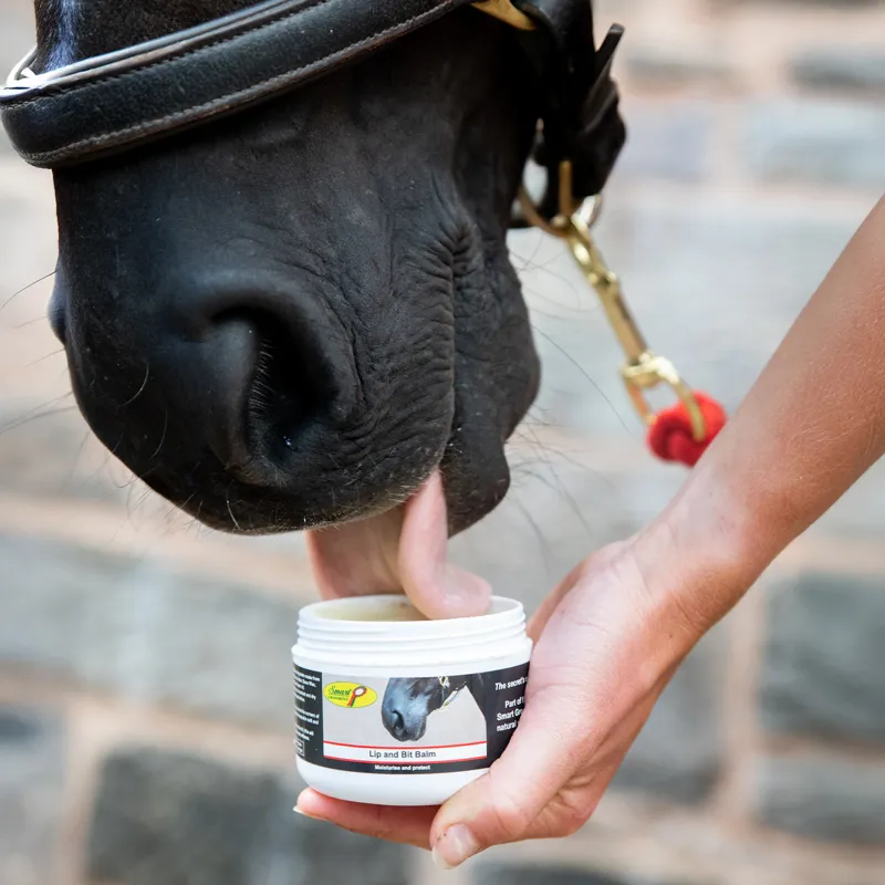 Smart Grooming Lip and Bit Balm-1