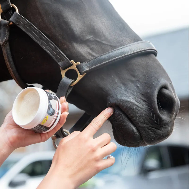 Smart Grooming Lip and Bit Balm-2