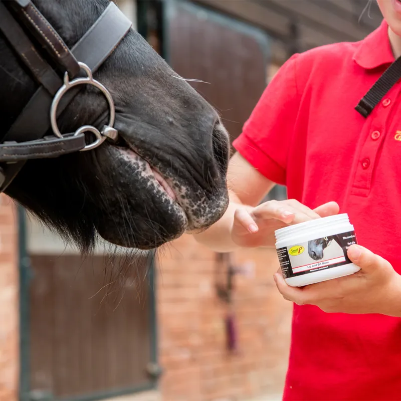 Smart Grooming Lip and Bit Balm-3