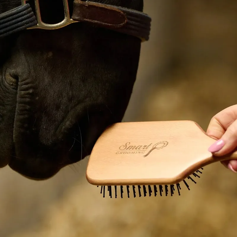 Smart Grooming Mane and Tail Brush-7