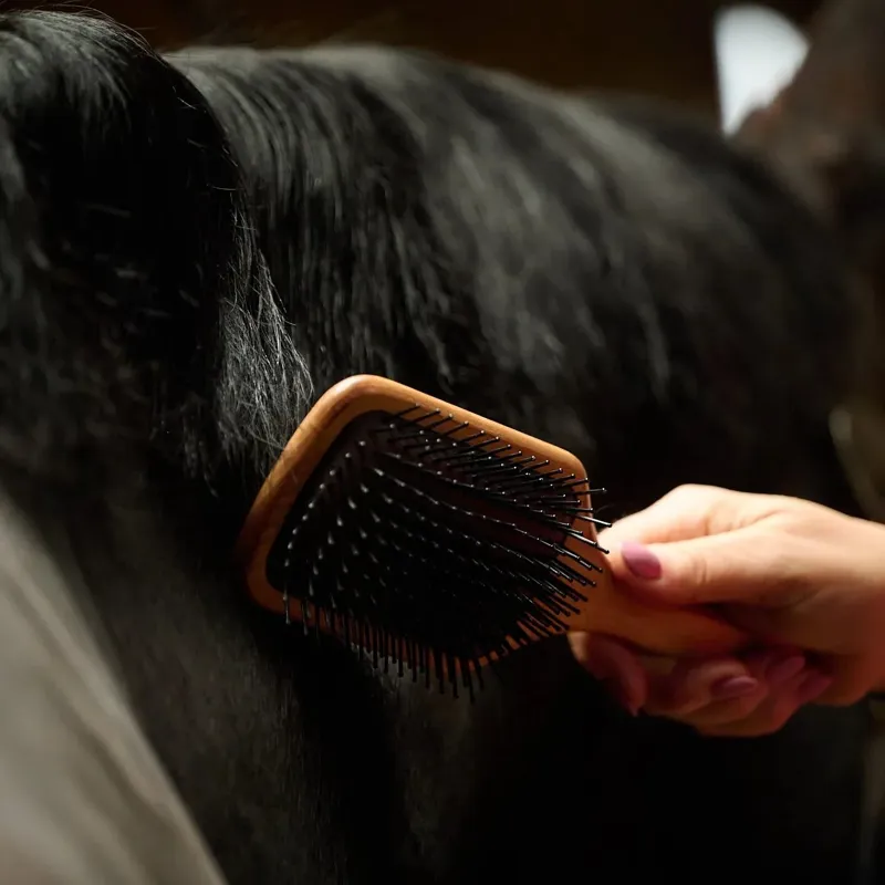 Smart Grooming Mane and Tail Brush-8