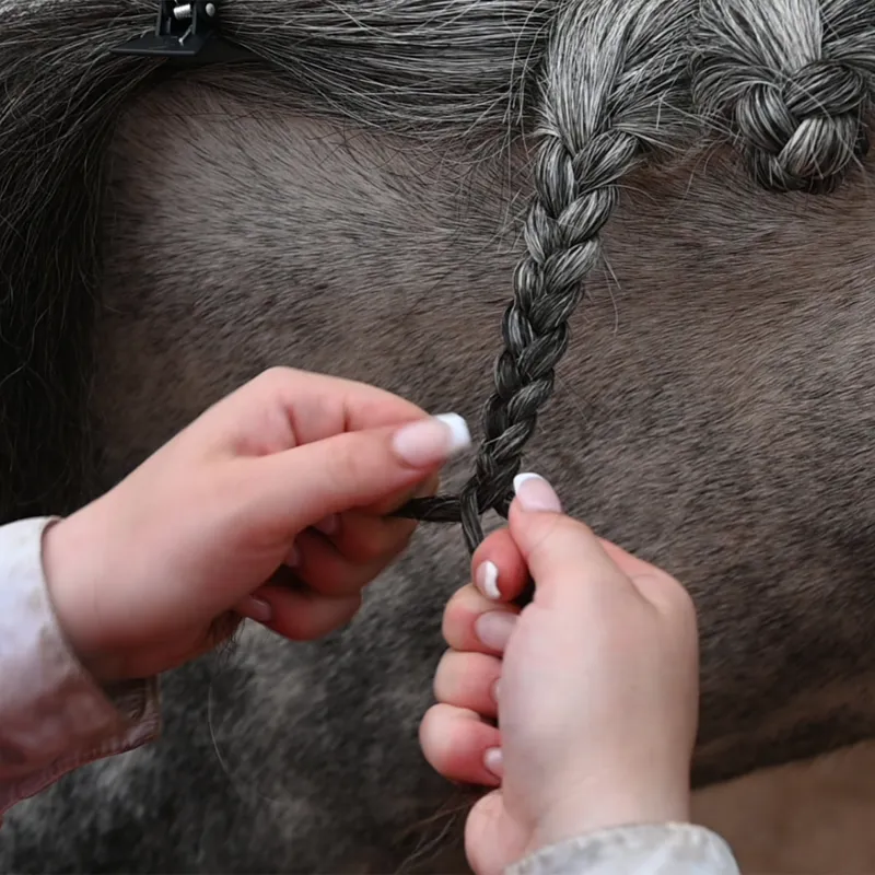 Smart Grooming Plaiting Mousse-3