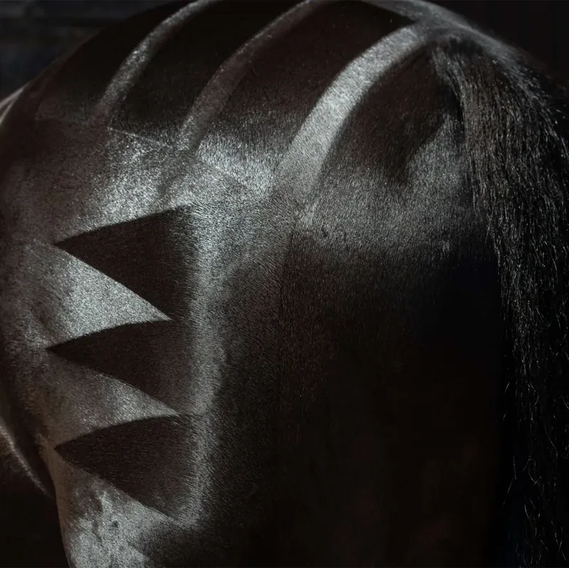 Smart Grooming Quarter Marking Spray-3