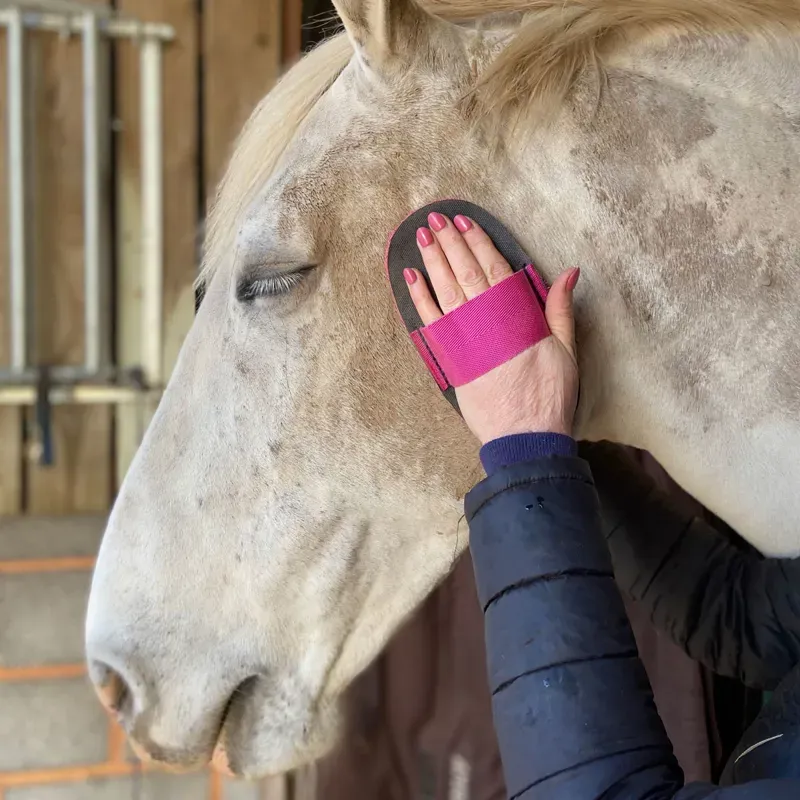 Smart Grooming Deluxe Super Groomer - Pink-1