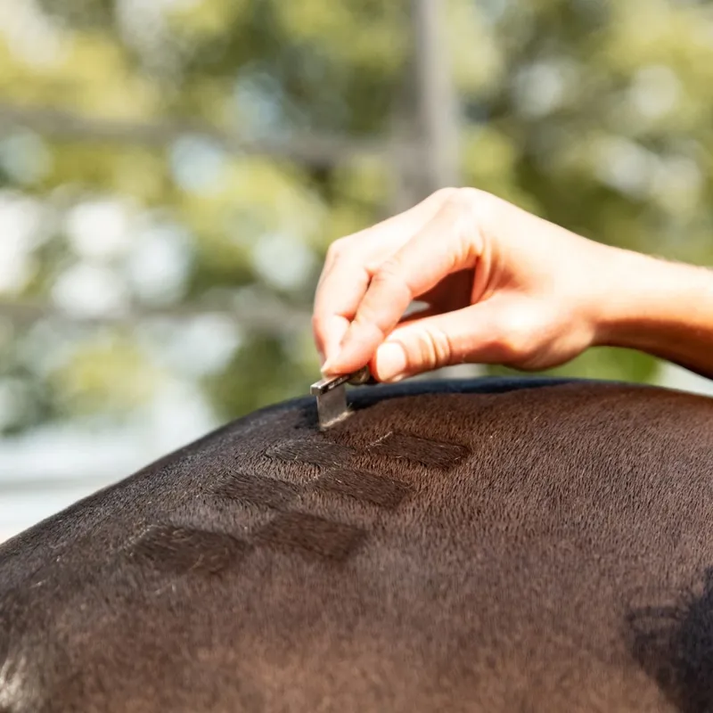 Smart Grooming Quarter Marking Comb - Narrow-1