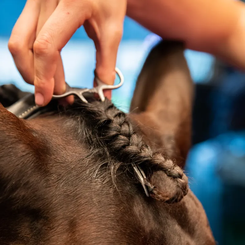 Smart Grooming Forelock Plaiting Grippers-1