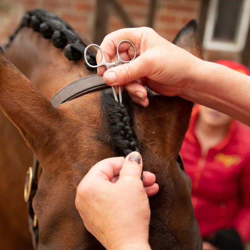 Smart Grooming Forelock Plaiting Grippers-3